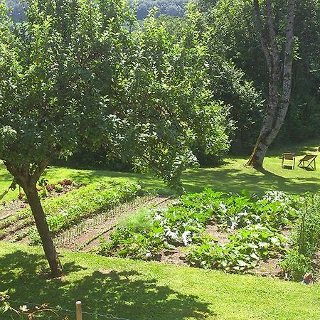 L'Ourserie Bed & Breakfast Saint-Paul-en-Chablais Exterior foto